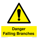 danger-falling-branches~